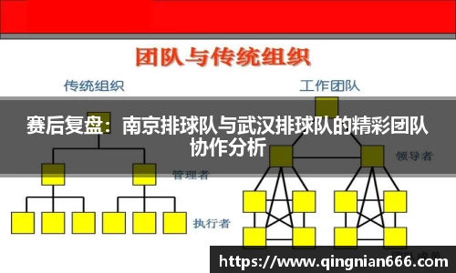 赛后复盘：南京排球队与武汉排球队的精彩团队协作分析