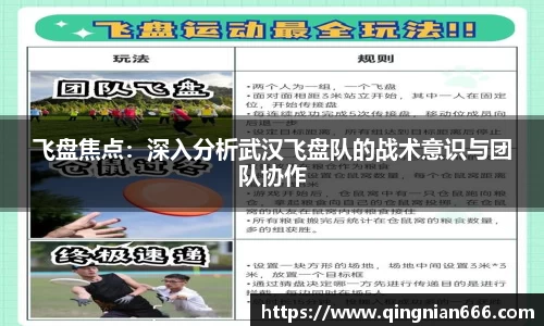 飞盘焦点：深入分析武汉飞盘队的战术意识与团队协作