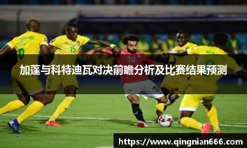 加蓬与科特迪瓦对决前瞻分析及比赛结果预测